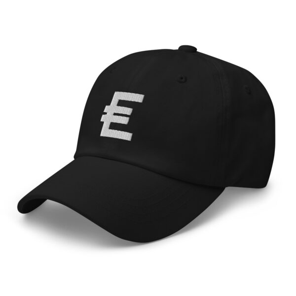 Earner Dad Hat - Image 3